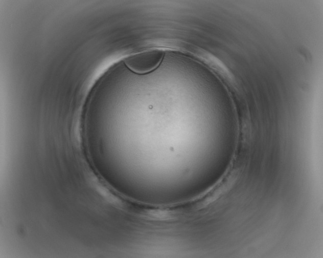 X0000115491182200911061301