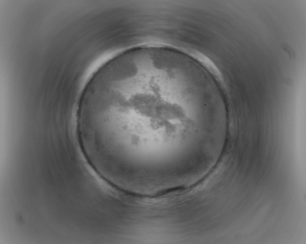 X0000115491183200911061301
