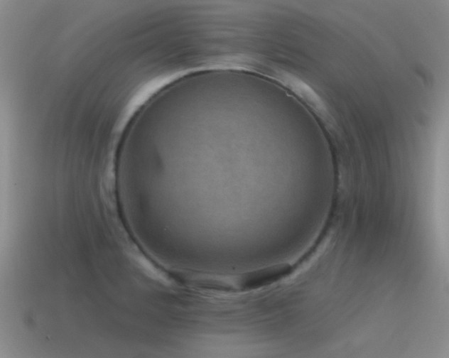 X0000115491184200911061301