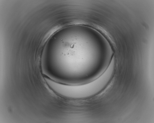 X0000115491185200911061301