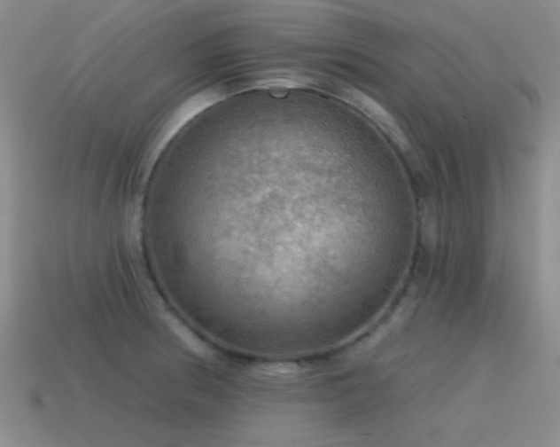 X0000115491186200911061301