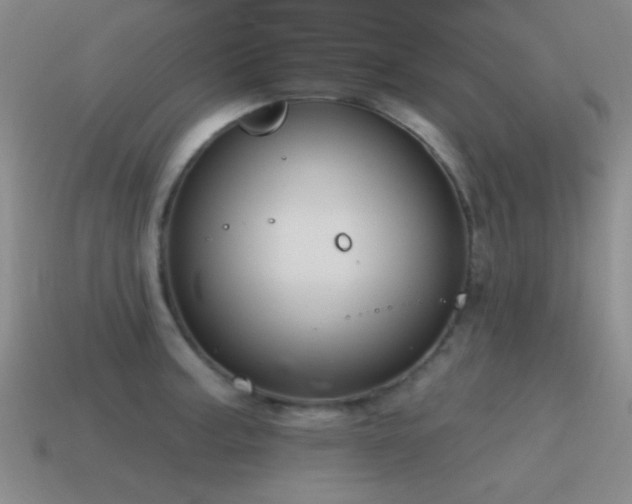 X0000115491187200911061301