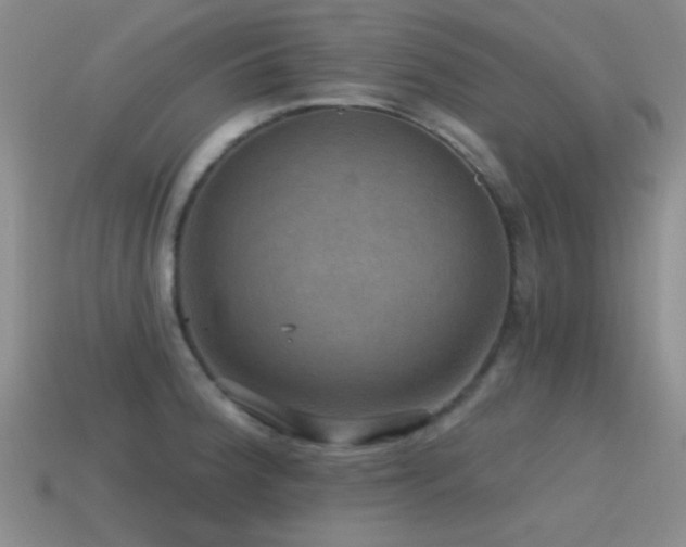 X0000115491188200911061301