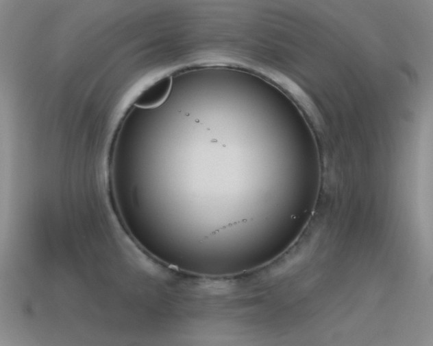 X0000115491191200911061300