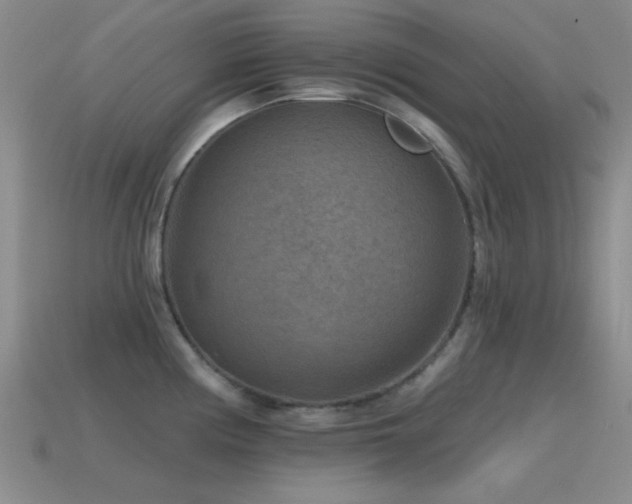X0000115491194200911061300