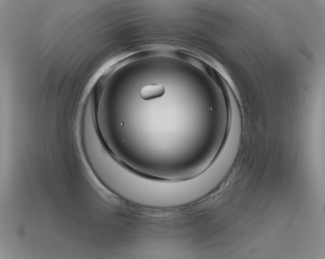 X0000115491195200911061300