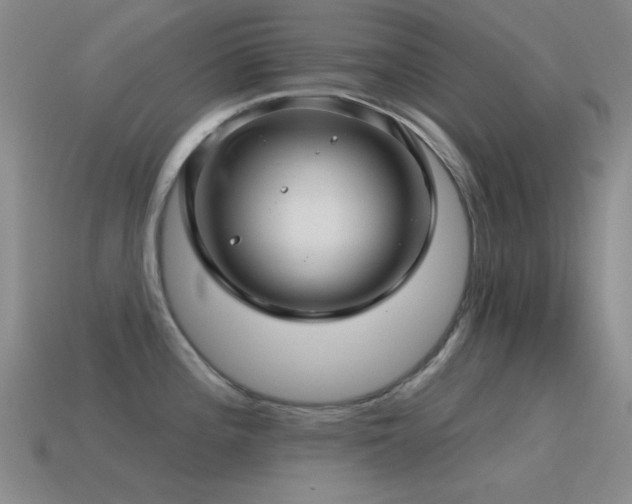 X0000115491196200911061300