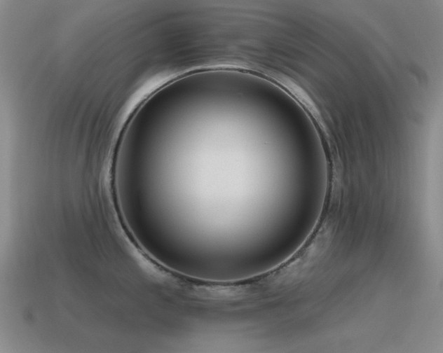 X0000115491197200911061300