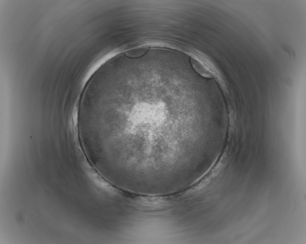 X0000115491198200911061300
