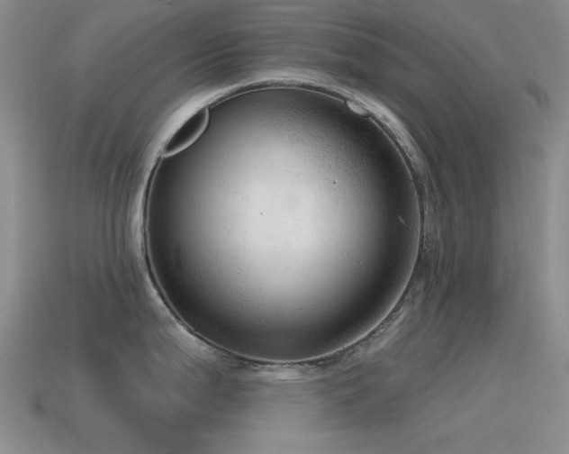 X0000115491199200911061300
