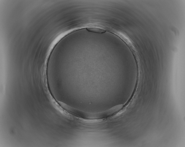 X0000115491200200911061300