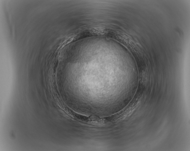 X0000115491201200911061300