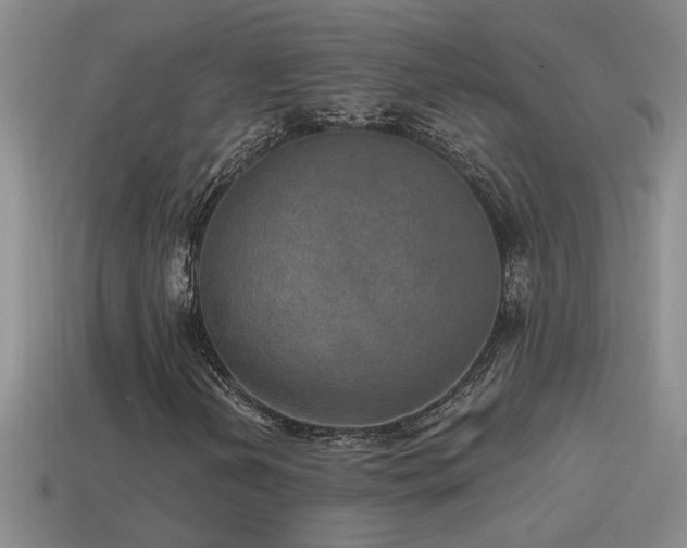 X0000115491202200911061300