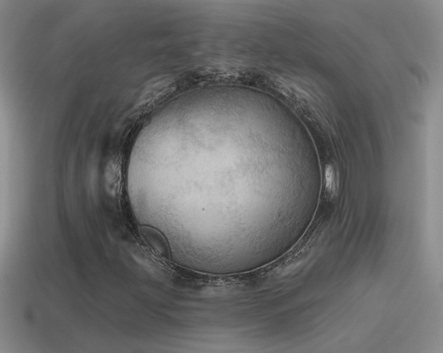 X0000115491203200911061300