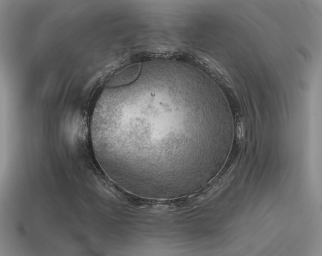 X0000115491204200911061300