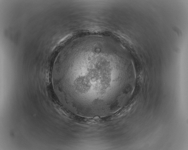 X0000115491205200911061300