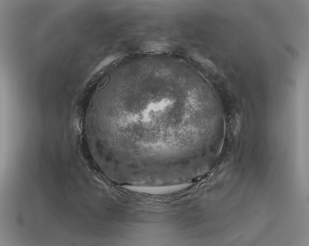 X0000115491206200911061300