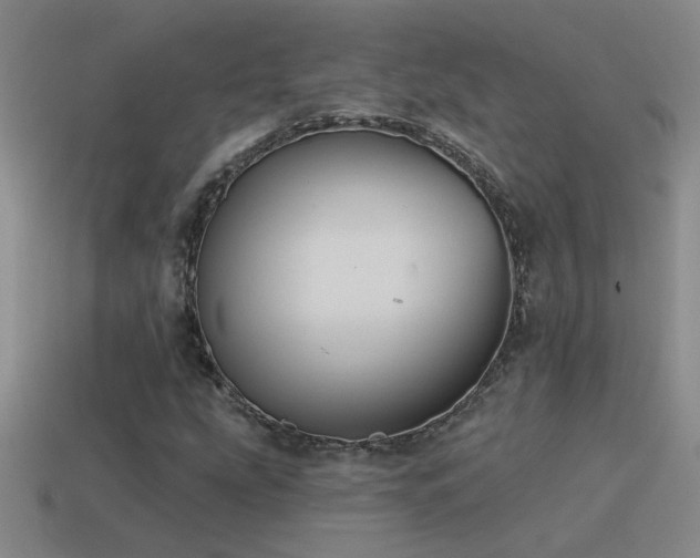 X0000115491207200911061300