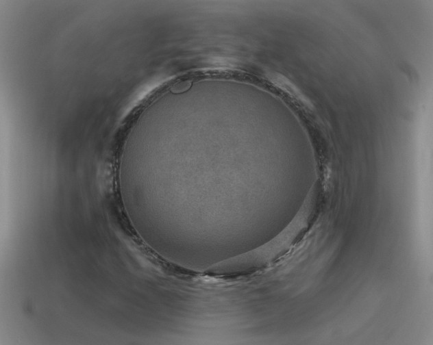 X0000115491208200911061300