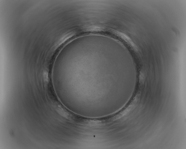 X0000115491209200911061300
