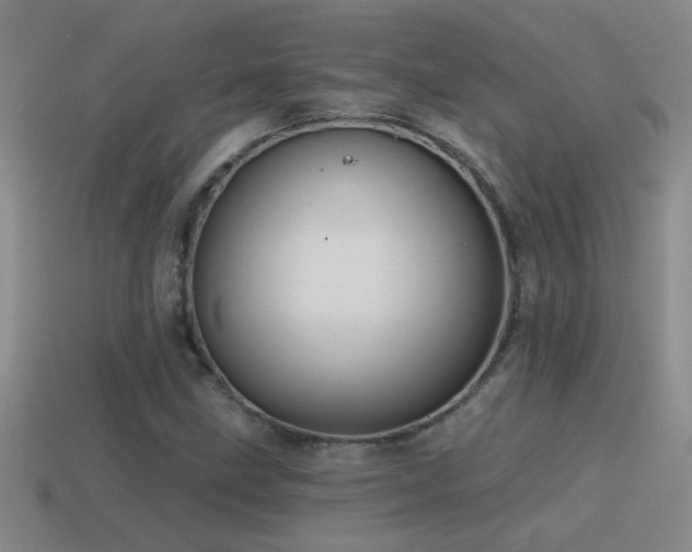 X0000115491211200911061300
