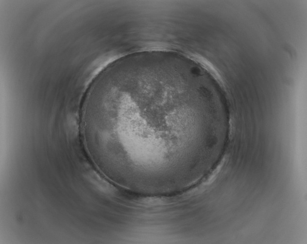 X0000115491212200911061300