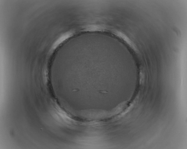 X0000115491213200911061300