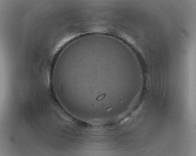 X0000115491214200911061300