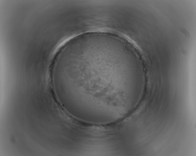 X0000115491215200911061300