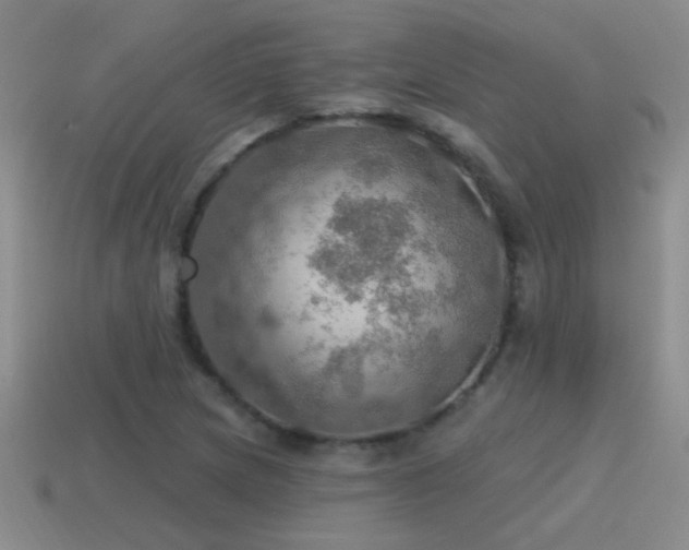 X0000115491217200911061300