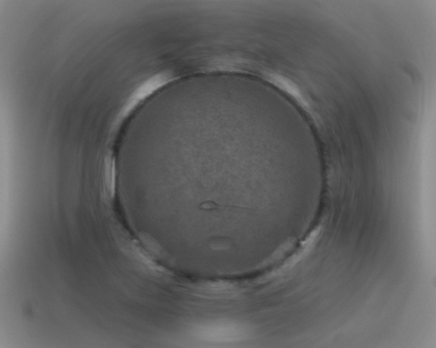 X0000115491219200911061300