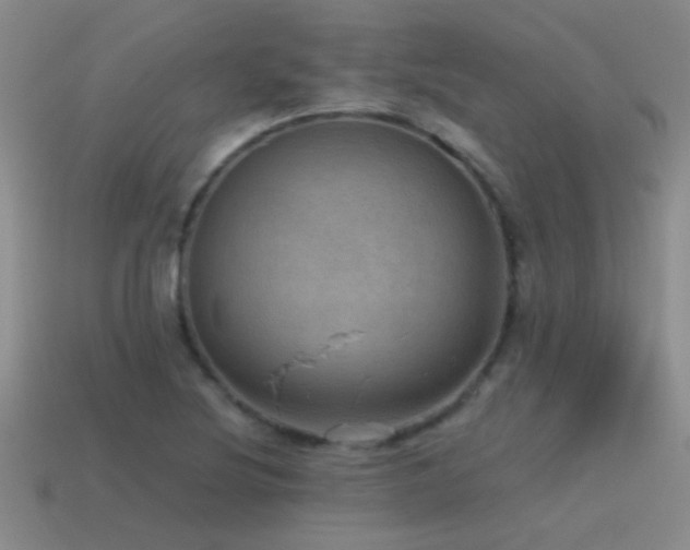 X0000115491220200911061300