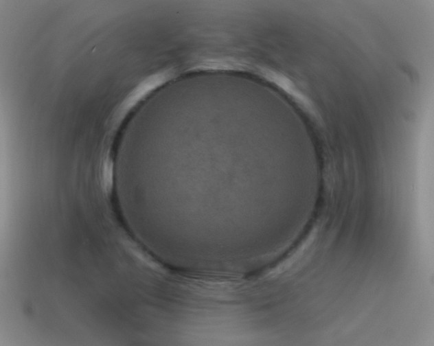 X0000115491221200911061300