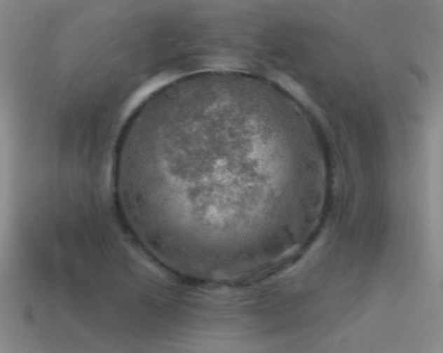 X0000115491222200911061300