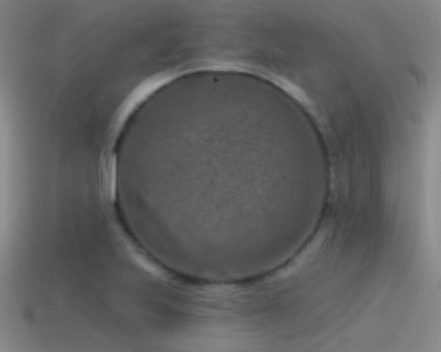 X0000115491223200911061300