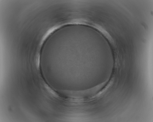 X0000115491224200911061300
