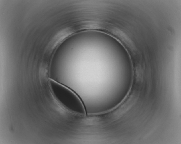 X0000115491225200911061300