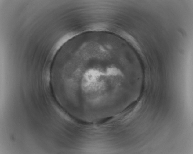 X0000115491226200911061300