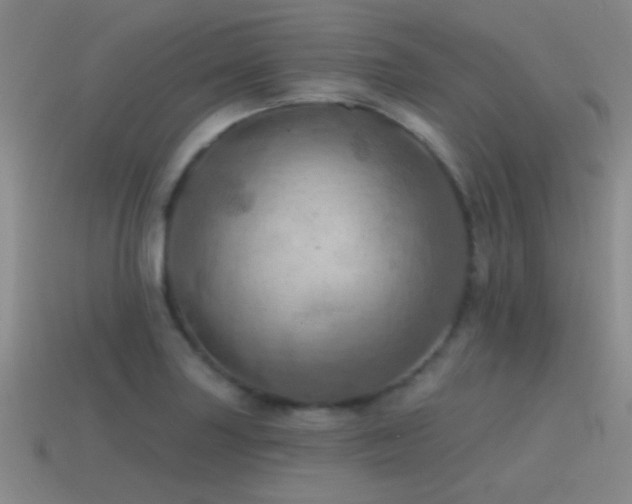 X0000115491227200911061300