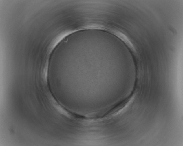 X0000115491228200911061300