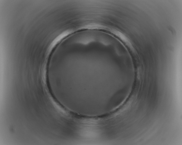 X0000115491229200911061300