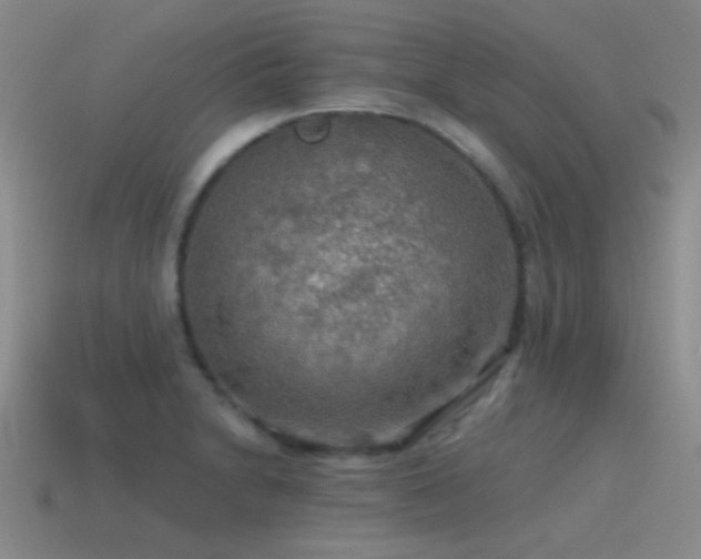 X0000115491230200911061300