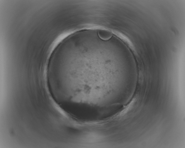 X0000115491231200911061300