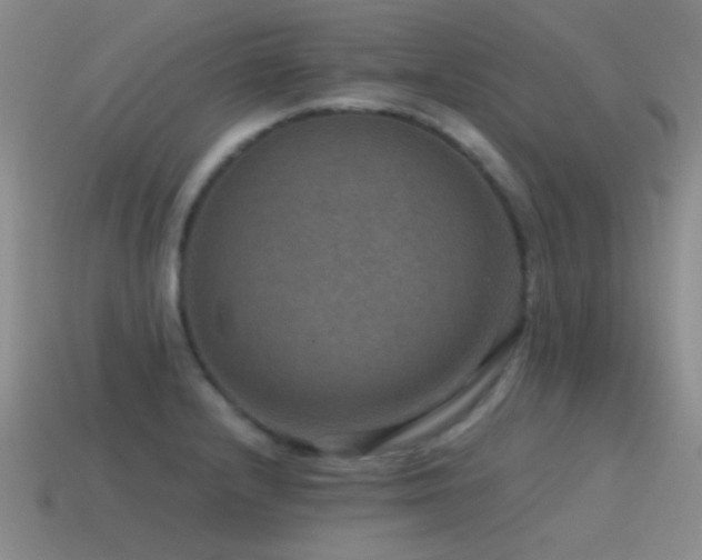 X0000115491232200911061300