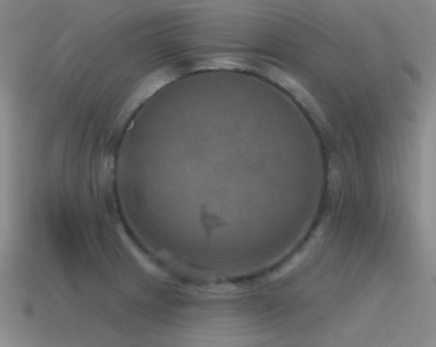 X0000115491233200911061300