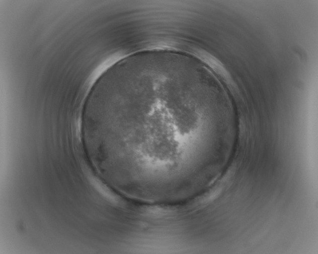X0000115491234200911061300