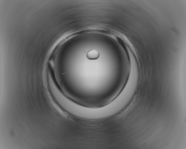 X0000115491235200911061300