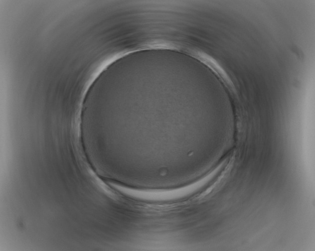 X0000115491236200911061300