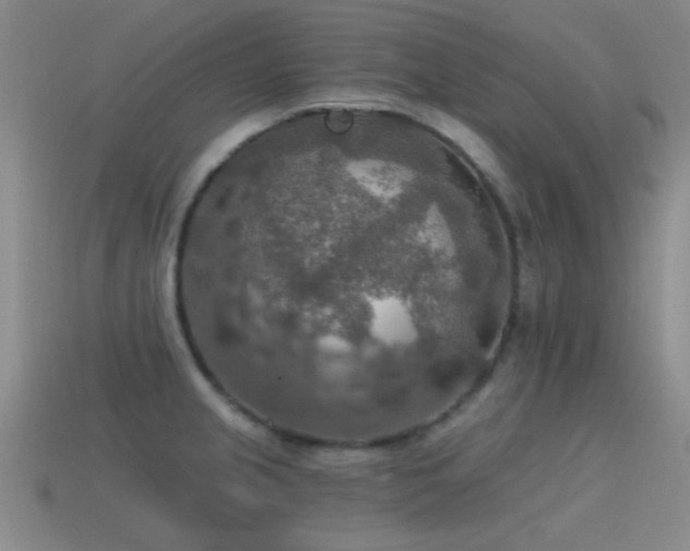 X0000115491237200911061300