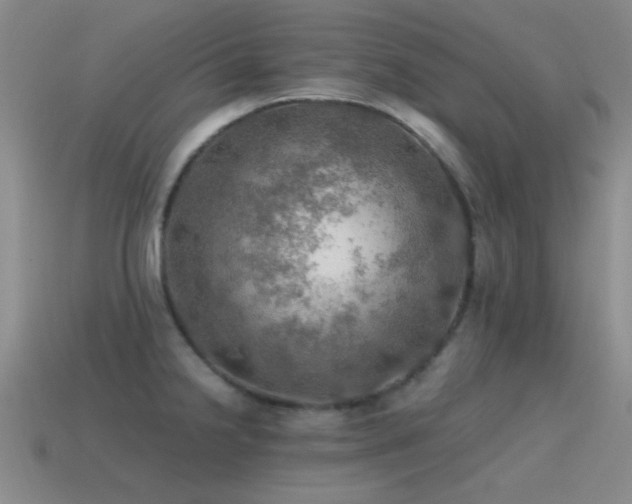 X0000115491238200911061300